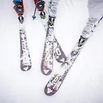 Robinson Alpenrose