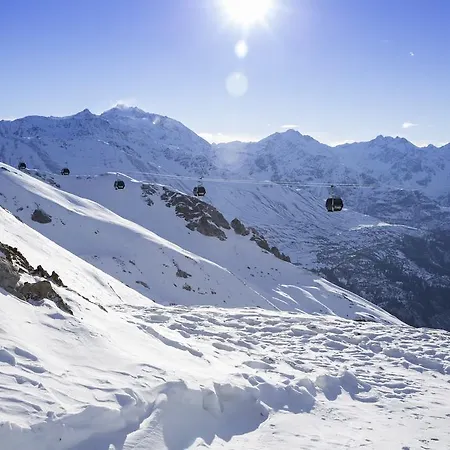 Robinson Alpenrose